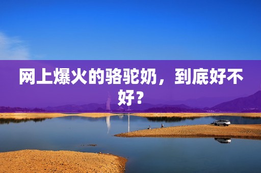 网上爆火的骆驼奶，到底好不好？