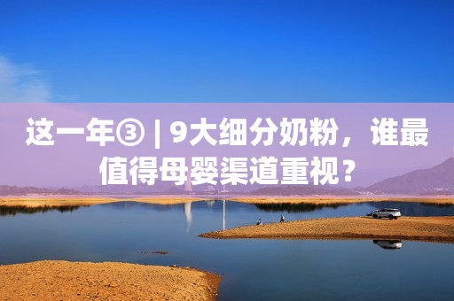 这一年③ | 9大细分奶粉，谁最值得母婴渠道重视？