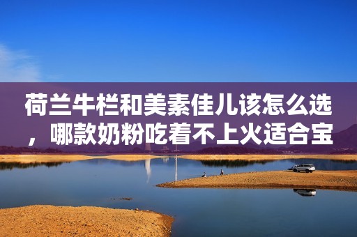 荷兰牛栏和美素佳儿该怎么选，哪款奶粉吃着不上火适合宝宝？