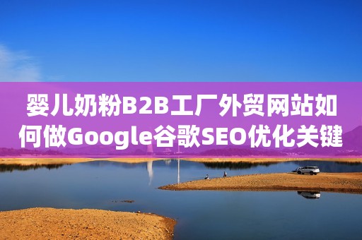 婴儿奶粉B2B工厂外贸网站如何做Google谷歌SEO优化关键字排名？