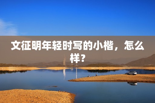 文征明年轻时写的小楷，怎么样？