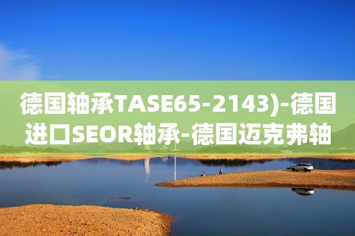 德国轴承TASE65-2143)-德国进口SEOR轴承-德国迈克弗轴承-德国SEOR进口轴承