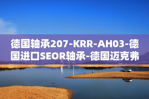 德国轴承207-KRR-AH03-德国进口SEOR轴承-德国迈克弗轴承-德国SEOR进口轴承