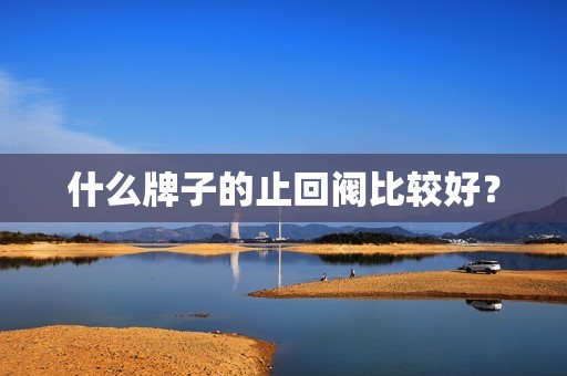 什么牌子的止回阀比较好？
