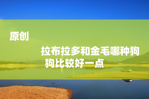 原创
            拉布拉多和金毛哪种狗狗比较好一点