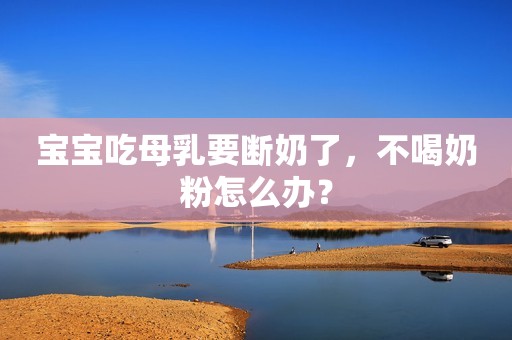 宝宝吃母乳要断奶了，不喝奶粉怎么办？