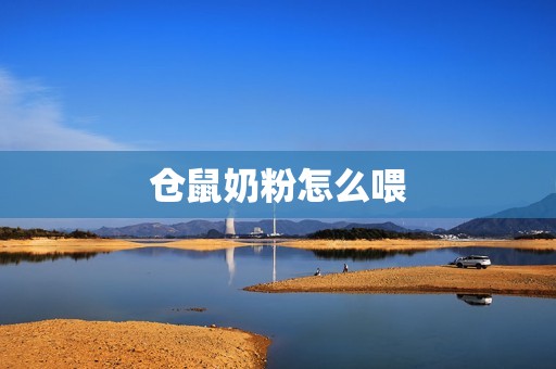 仓鼠奶粉怎么喂