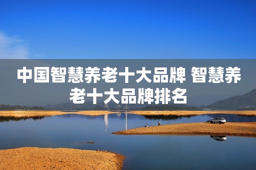 中国智慧养老十大品牌 智慧养老十大品牌排名