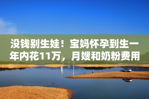 没钱别生娃！宝妈怀孕到生一年内花11万，月嫂和奶粉费用引争议