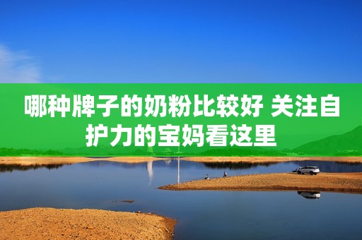 哪种牌子的奶粉比较好 关注自护力的宝妈看这里