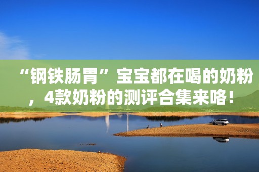 “钢铁肠胃”宝宝都在喝的奶粉，4款奶粉的测评合集来咯！