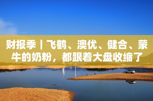 财报季｜飞鹤、澳优、健合、蒙牛的奶粉，都跟着大盘收缩了