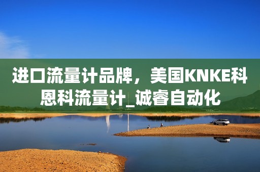 进口流量计品牌，美国KNKE科恩科流量计_诚睿自动化