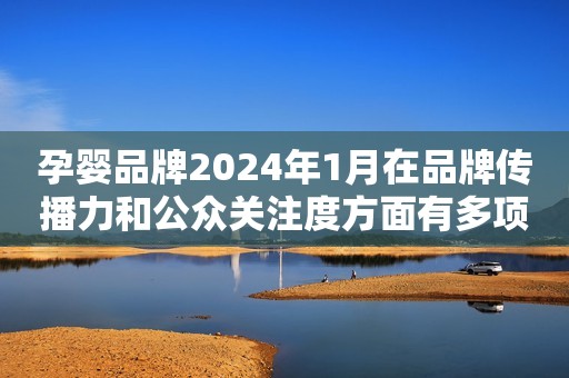 孕婴品牌2024年1月在品牌传播力和公众关注度方面有多项变化