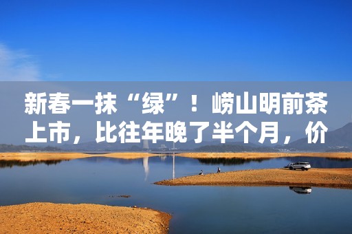 新春一抹“绿”！崂山明前茶上市，比往年晚了半个月，价格与去年持平