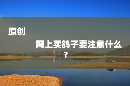 原创
            网上买鸽子要注意什么？