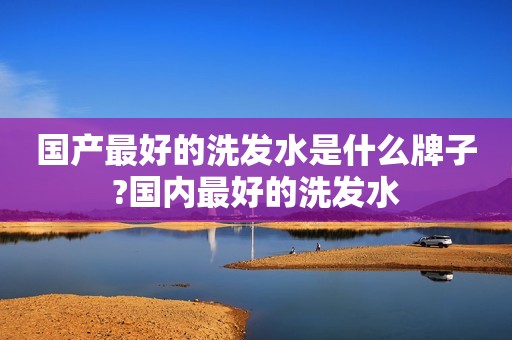 国产最好的洗发水是什么牌子?国内最好的洗发水