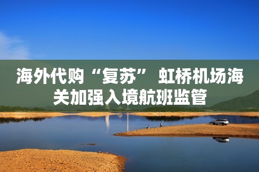 海外代购“复苏” 虹桥机场海关加强入境航班监管