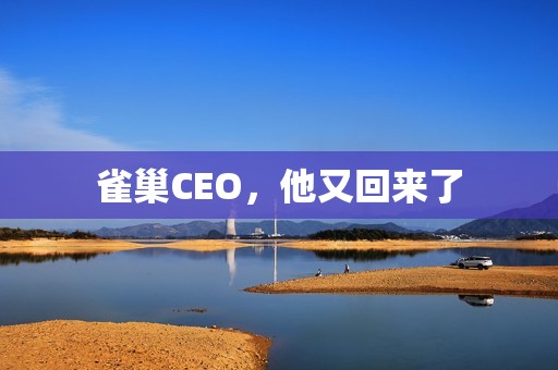 雀巢CEO，他又回来了