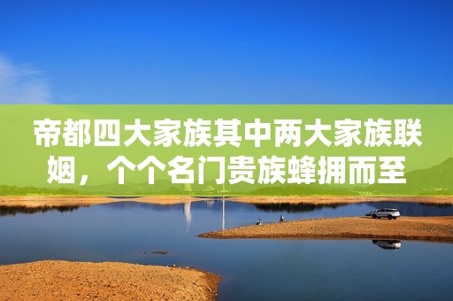 帝都四大家族其中两大家族联姻，个个名门贵族蜂拥而至