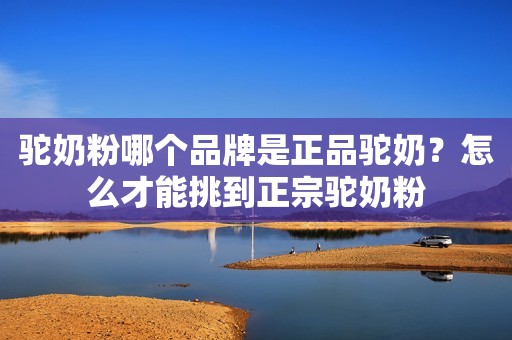 驼奶粉哪个品牌是正品驼奶？怎么才能挑到正宗驼奶粉