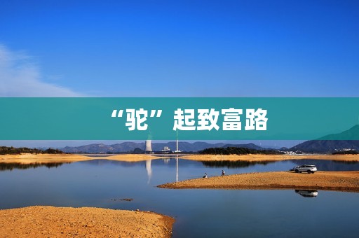 “驼”起致富路