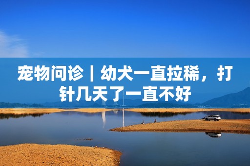 宠物问诊｜幼犬一直拉稀，打针几天了一直不好