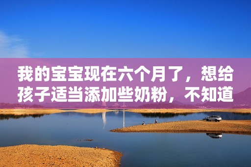 我的宝宝现在六个月了，想给孩子适当添加些奶粉，不知道要买什么奶粉好？请有经验的妈妈给介绍一款哦