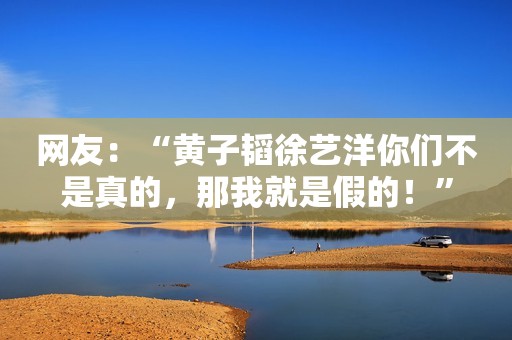 网友：“黄子韬徐艺洋你们不是真的，那我就是假的！”