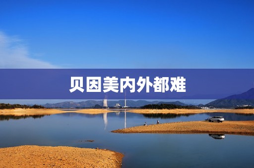 贝因美内外都难