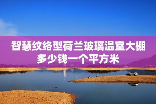 智慧纹络型荷兰玻璃温室大棚多少钱一个平方米