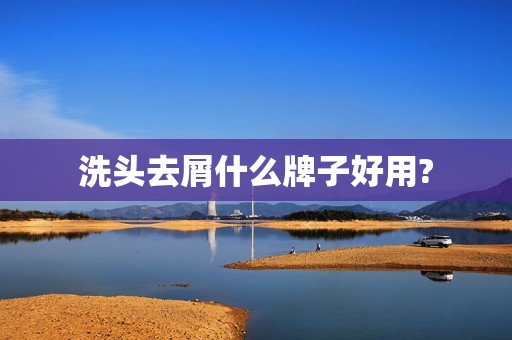 洗头去屑什么牌子好用?