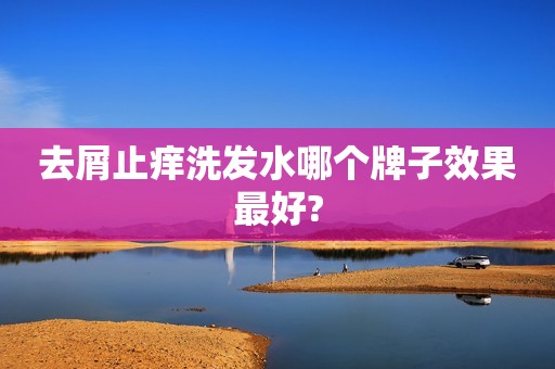 去屑止痒洗发水哪个牌子效果最好?