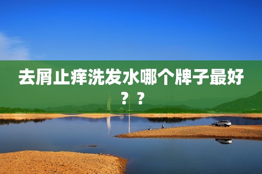 去屑止痒洗发水哪个牌子最好？?