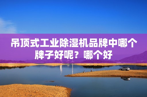 吊顶式工业除湿机品牌中哪个牌子好呢？哪个好