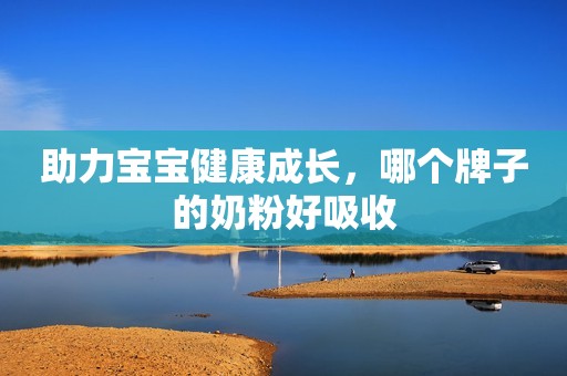 助力宝宝健康成长，哪个牌子的奶粉好吸收