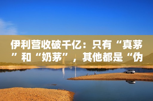 伊利营收破千亿：只有“真茅”和“奶茅”，其他都是“伪茅”？