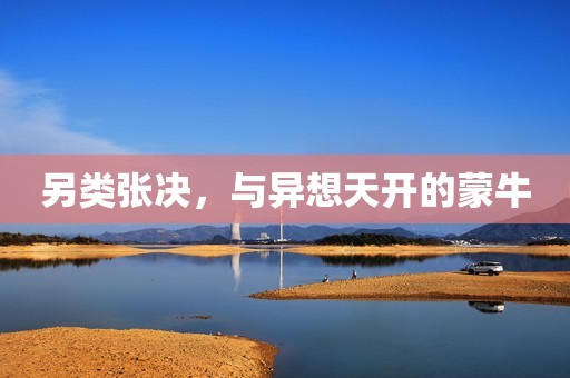 另类张决，与异想天开的蒙牛
