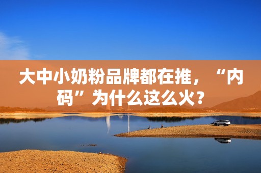 大中小奶粉品牌都在推，“内码”为什么这么火？