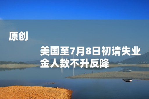 原创
            美国至7月8日初请失业金人数不升反降