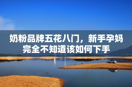 奶粉品牌五花八门，新手孕妈完全不知道该如何下手