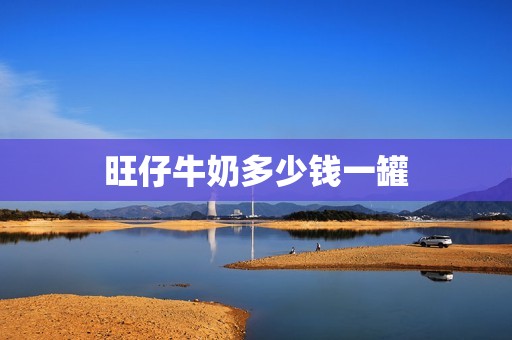 旺仔牛奶多少钱一罐