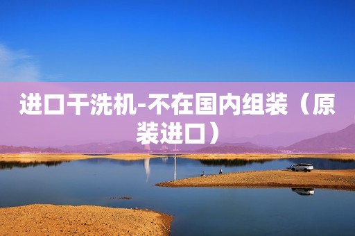 进口干洗机-不在国内组装（原装进口）