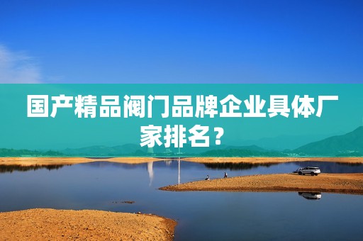 国产精品阀门品牌企业具体厂家排名？