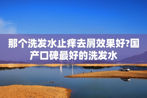 那个洗发水止痒去屑效果好?国产口碑最好的洗发水