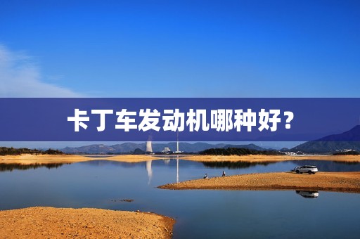 卡丁车发动机哪种好？