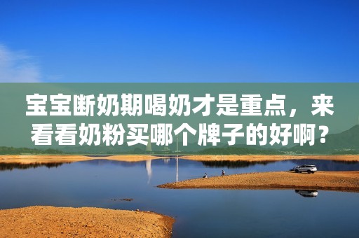 宝宝断奶期喝奶才是重点，来看看奶粉买哪个牌子的好啊？
