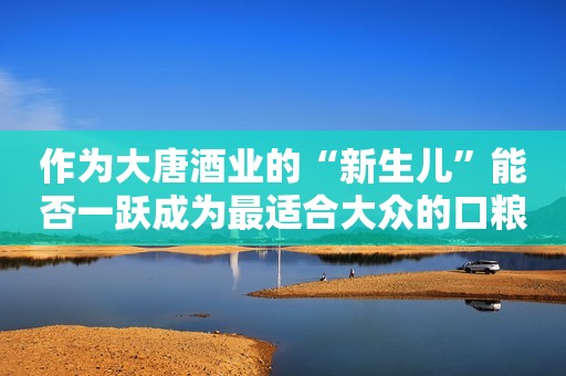 作为大唐酒业的“新生儿”能否一跃成为最适合大众的口粮酒？