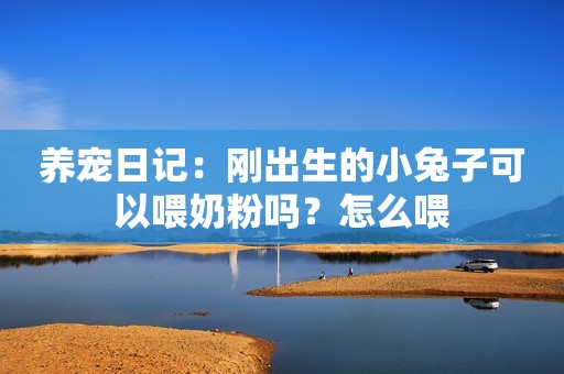养宠日记：刚出生的小兔子可以喂奶粉吗？怎么喂