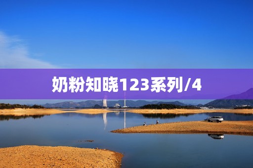 奶粉知晓123系列/4